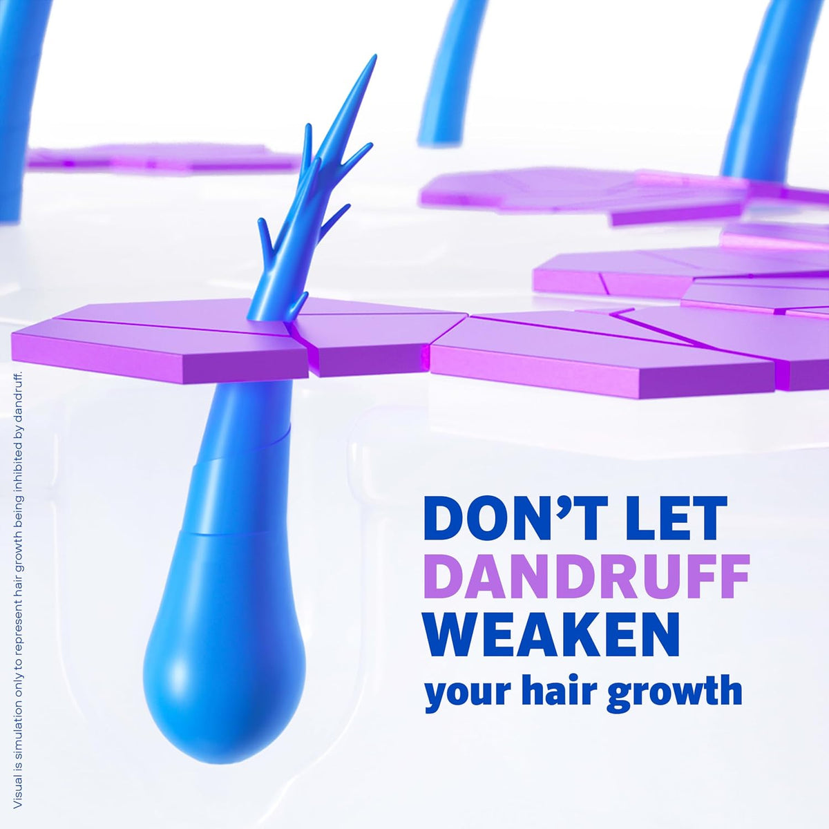 Purple and blue hair care product with text 'Don't let dandruff weaken your hair growth' on a white background.